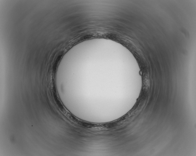 X0000113160468200909040957