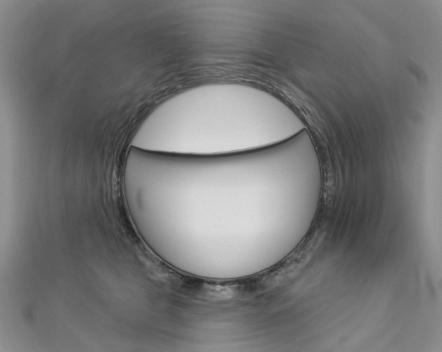 X0000113160469200909040957