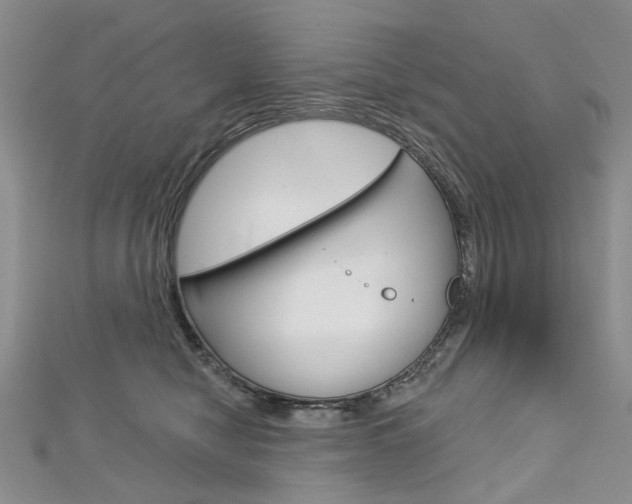 X0000113160470200909040957