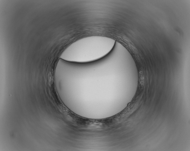 X0000113160471200909040957