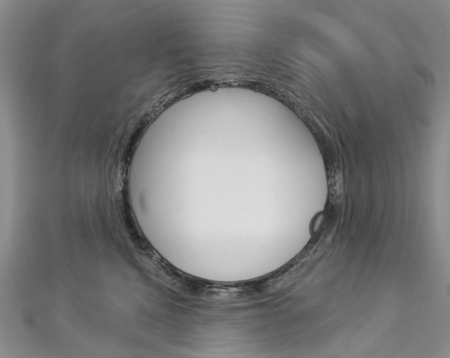 X0000113160472200909040957