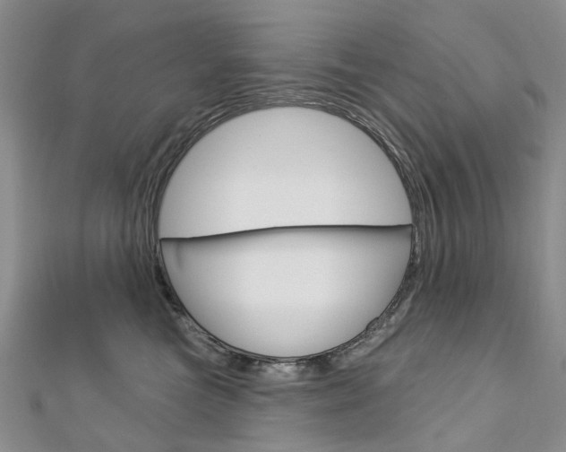 X0000113160473200909040957
