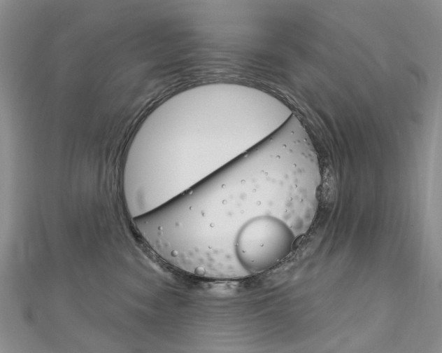 X0000113160474200909040957