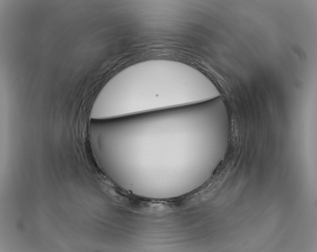 X0000113160475200909040957