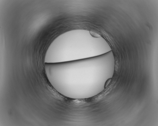 X0000113160477200909040957