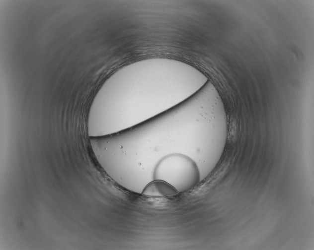X0000113160478200909040957