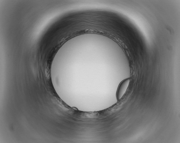 X0000113160479200909040957