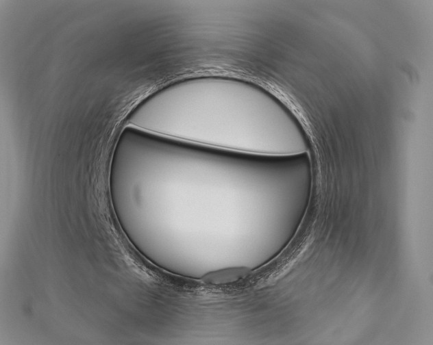 X0000113160481200909040956