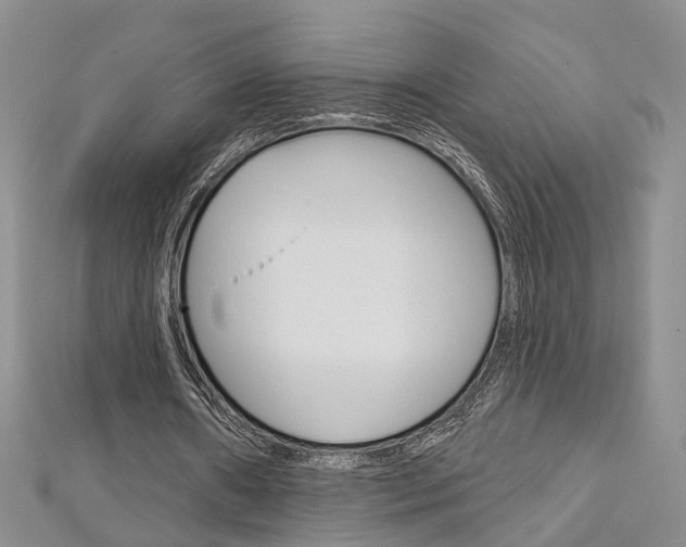 X0000113160482200909040956