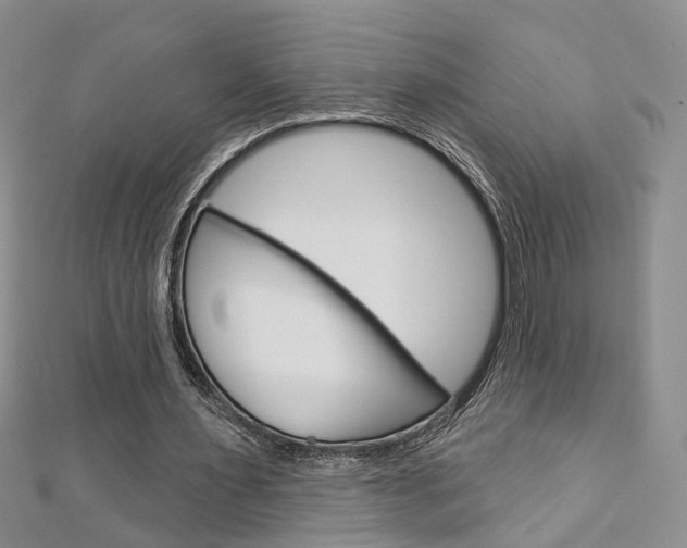 X0000113160483200909040956