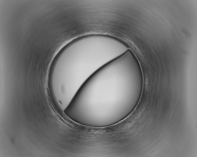 X0000113160484200909040956