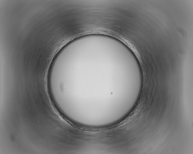 X0000113160485200909040956