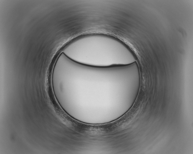 X0000113160487200909040956