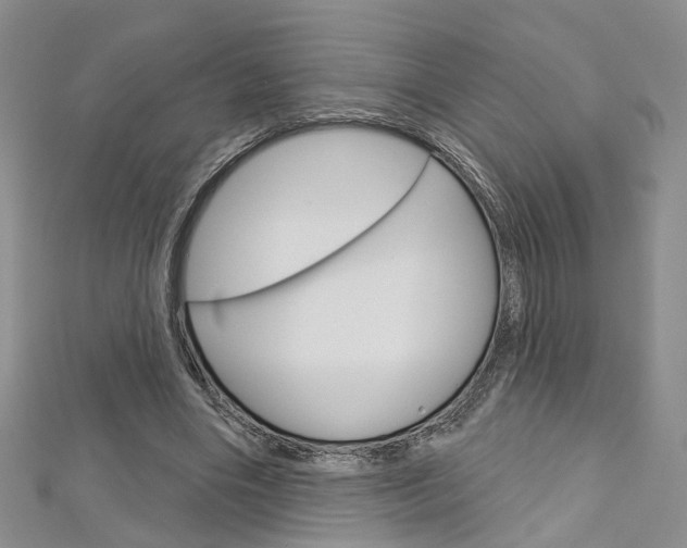 X0000113160490200909040956