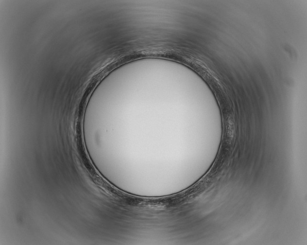 X0000113160491200909040956