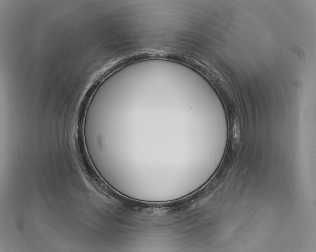 X0000113160492200909040956