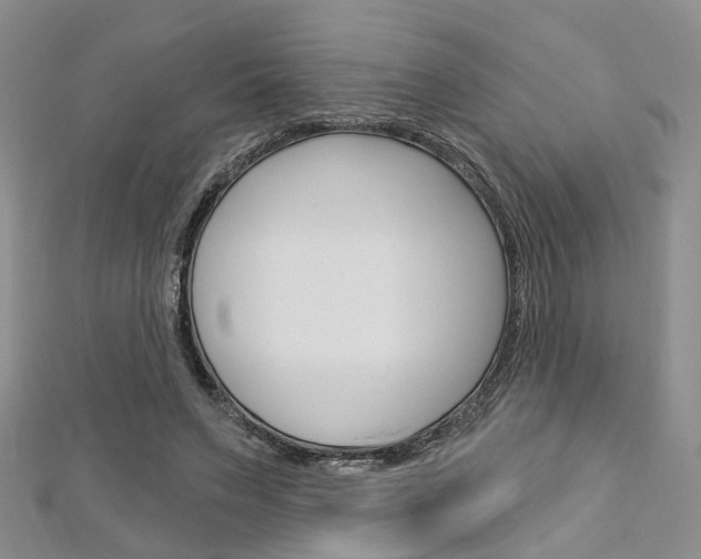 X0000113160495200909040956