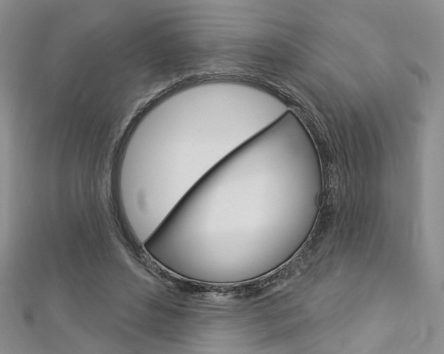 X0000113160496200909040956