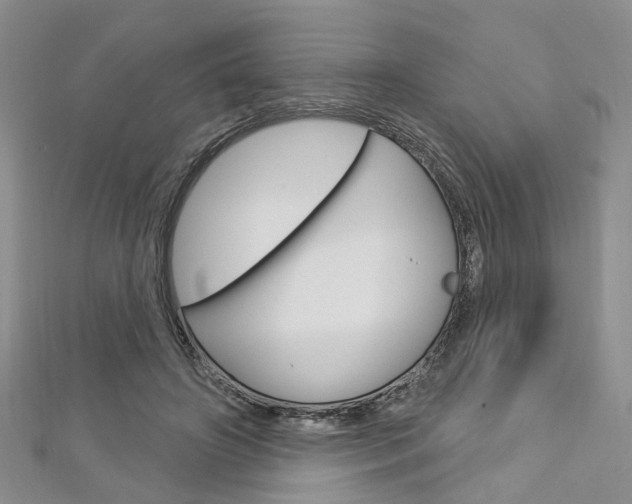 X0000113160498200909040956