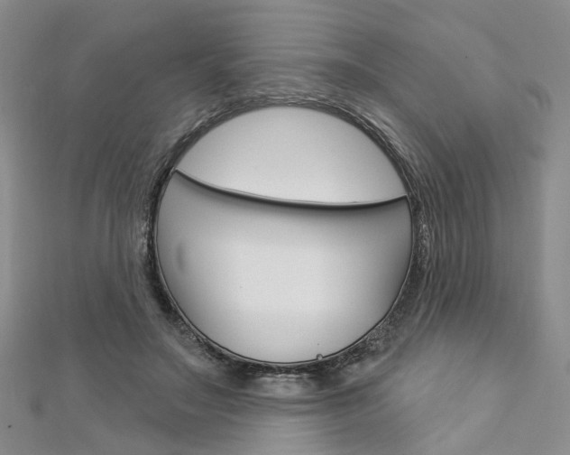 X0000113160499200909040956