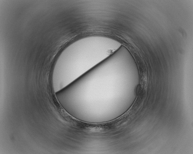 X0000113160500200909040956