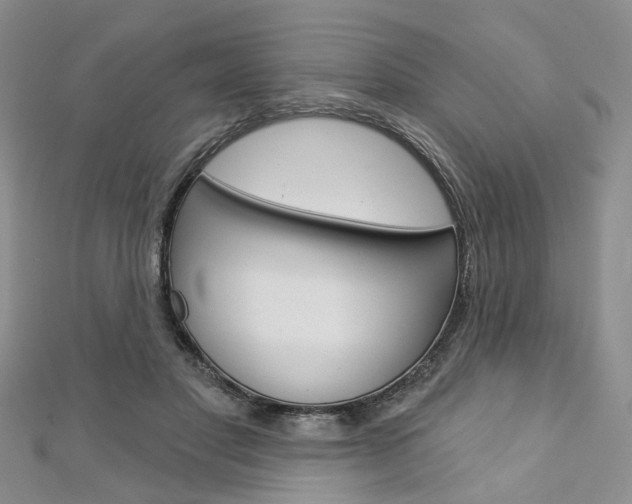 X0000113160501200909040956