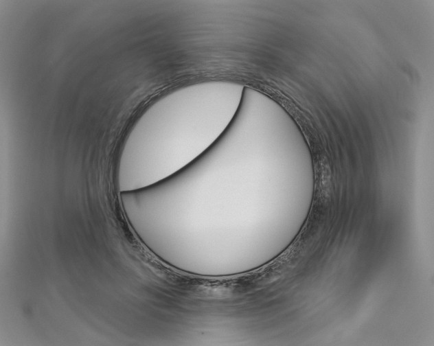 X0000113160502200909040956
