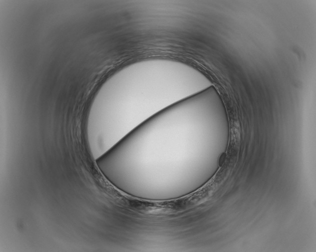 X0000113160504200909040956