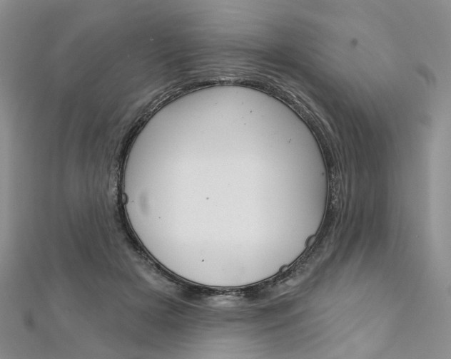 X0000113160505200909040956
