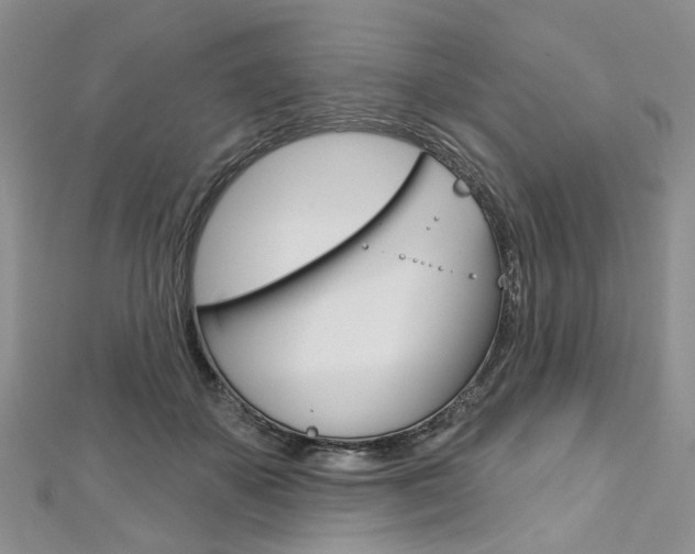 X0000113160507200909040956