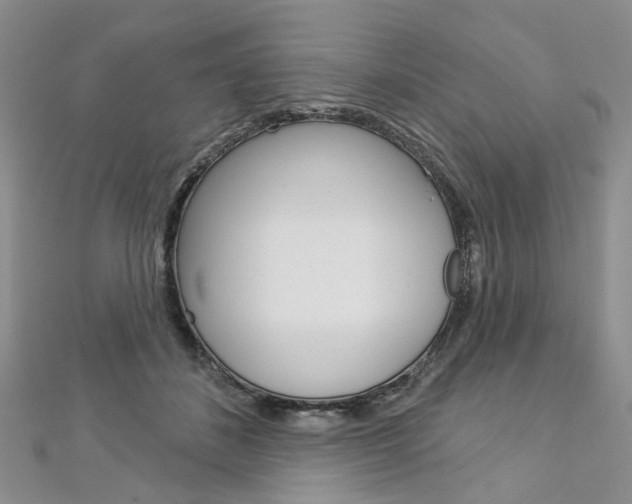 X0000113160508200909040956