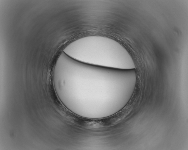 X0000113160511200909040956