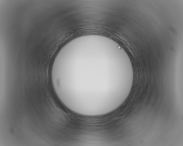 X0000113160512200909040956
