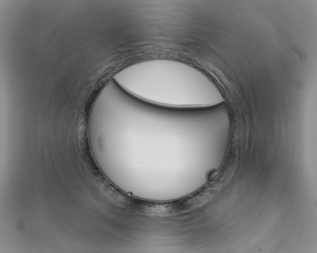 X0000113160513200909040956