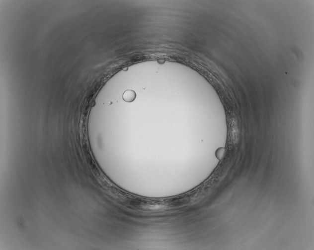 X0000113160514200909040956