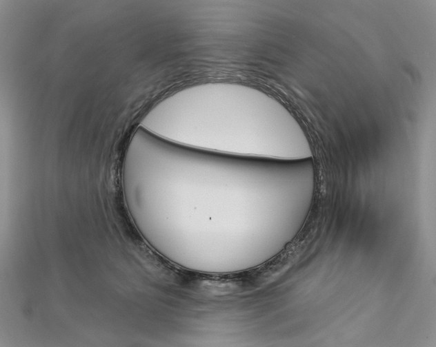 X0000113160515200909040956