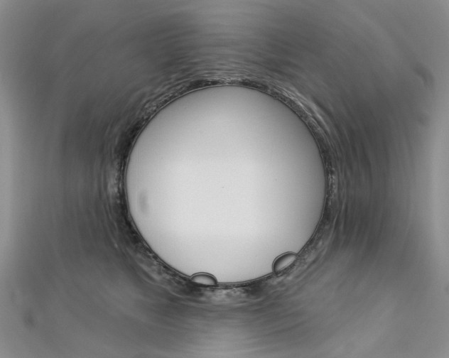X0000113160517200909040956