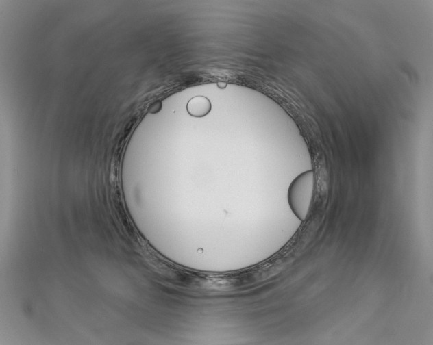X0000113160518200909040956