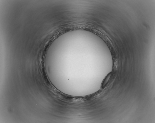 X0000113160520200909040956