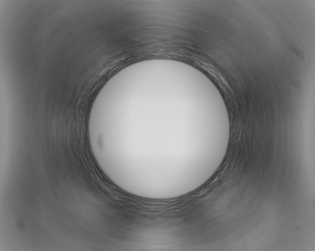 X0000113160521200909040956
