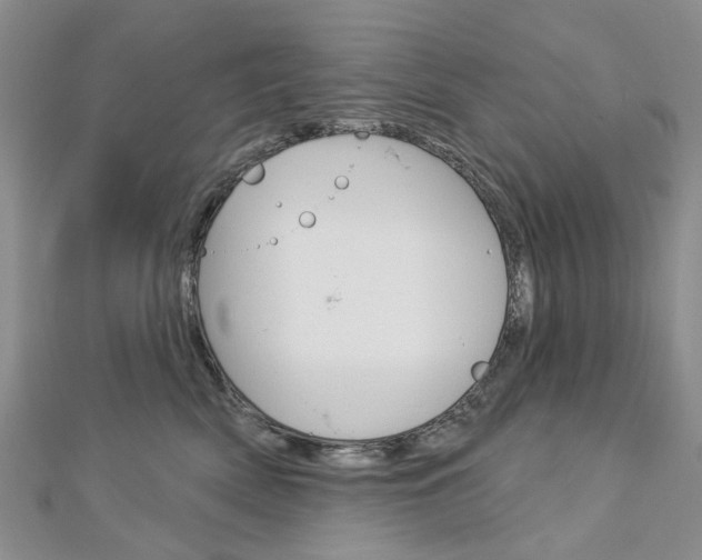 X0000113160522200909040956