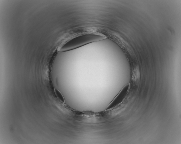 X0000113160524200909040956