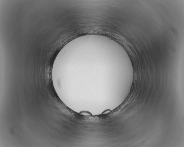 X0000113160525200909040956