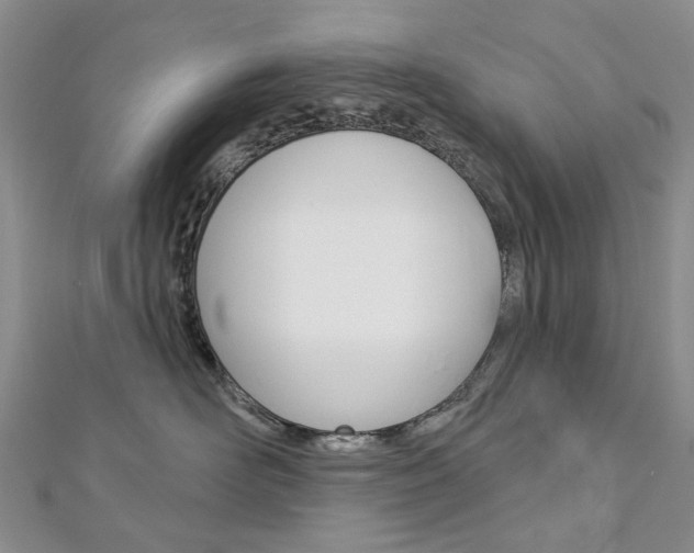 X0000113160526200909040955