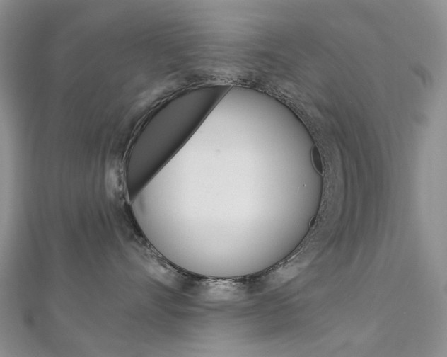 X0000113160528200909040955