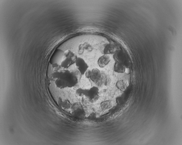X0000113160529200909040955