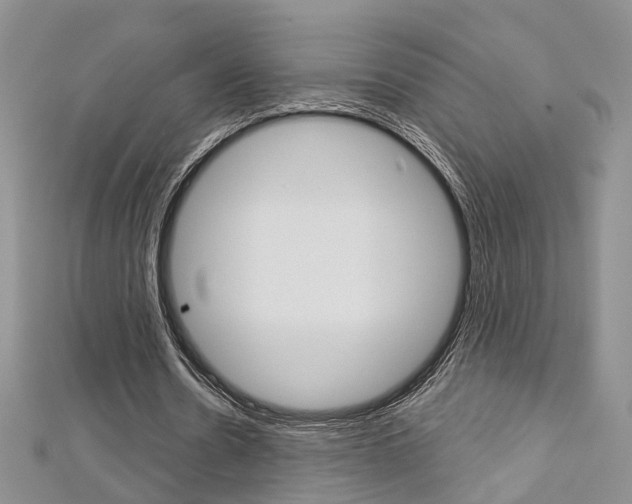 X0000113160530200909040955