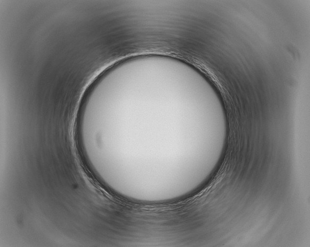 X0000113160532200909040955