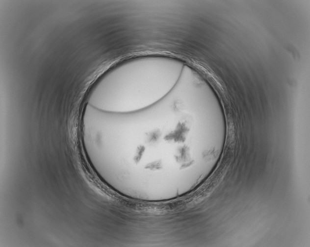 X0000113160533200909040955