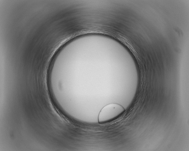 X0000113160534200909040955